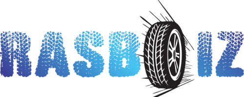 logo no bg